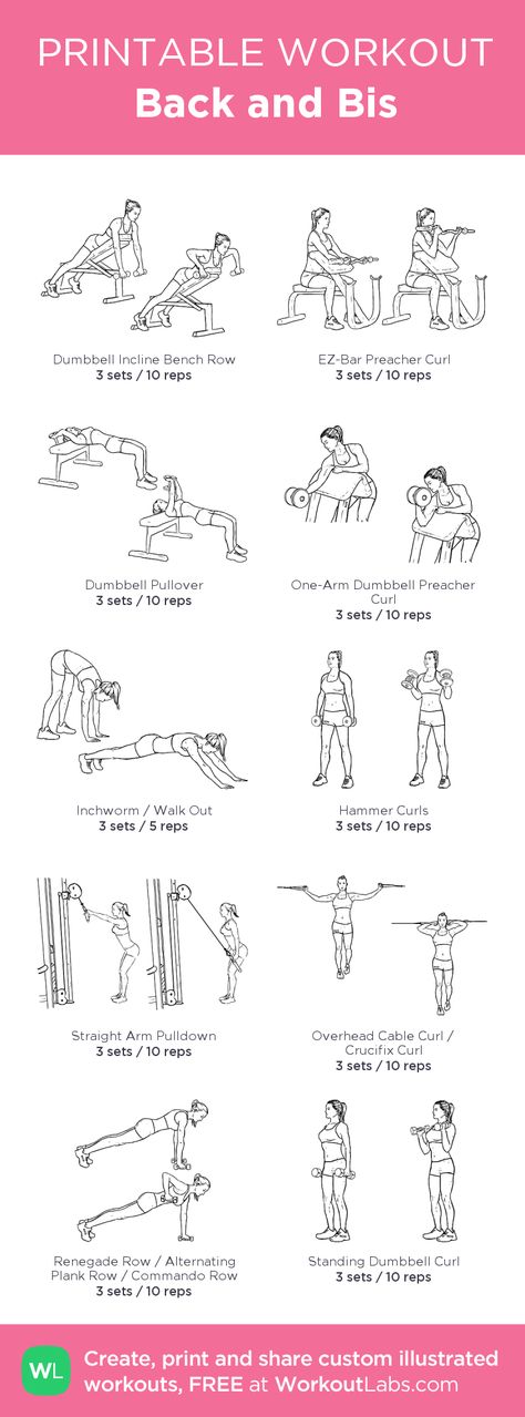 Back and Bis: my visual workout created at WorkoutLabs.com • Click through to customize and download as a FREE PDF! #customworkout Back And Bis Workout, Bis Workout, Back And Bis, Workout Labs, Printable Workout, Chest Exercises, Printable Workouts, Gym Routine, Mental Training