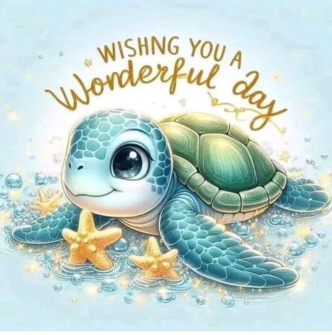 Happy Birthday Turtle, Turtle Quotes, Hello Quotes, Turtle Images, Turtle Stuff, Best Wishes Card, Happy Day Quotes, Morning Sunshine Quotes, Good Morning Sunshine Quotes