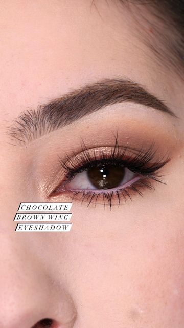 Everyday Eyeshadow, How To Do Makeup, Anti Gravity, Eyeshadow Looks, Chocolate Brown, Makeup Nails, Wedding Makeup, Shades, Nails