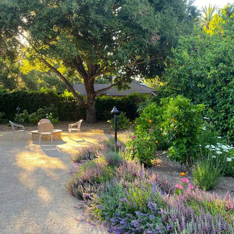 Southern Ca Backyard Ideas, Los Angeles Native Landscaping, Santa Barbara Landscape, Santa Barbara Garden Design, Southern California Native Landscaping, Montecito Landscaping, Santa Barbara Landscaping, Meditterean Landscape Design, Santa Barbara Landscape Design