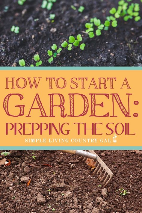 Garden Diy Hacks, Start A Garden, Garden Wallpaper, Starting A Garden, Homestead Survival, Organic Gardening Tips, Buy Plants, Seasonal Garden, Flowers Wallpaper