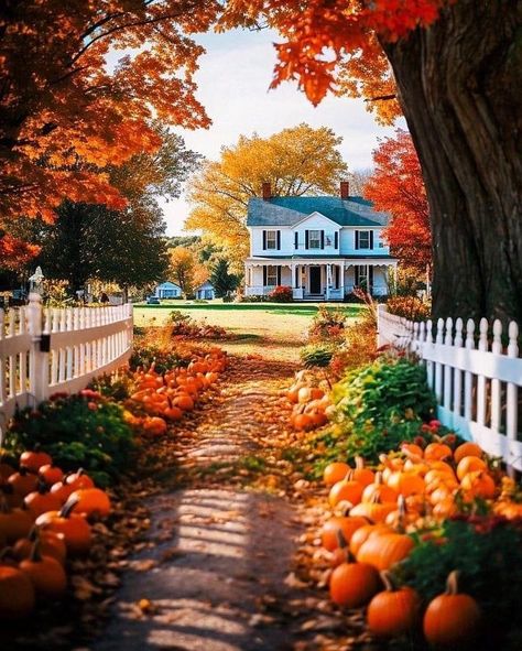 New England Fall, Autumn Magic, Autumn Scenes, Autumn Scenery, Autumn Beauty, Fall Pictures, Autumn Cozy, Autumn Aesthetic, Fall Wallpaper