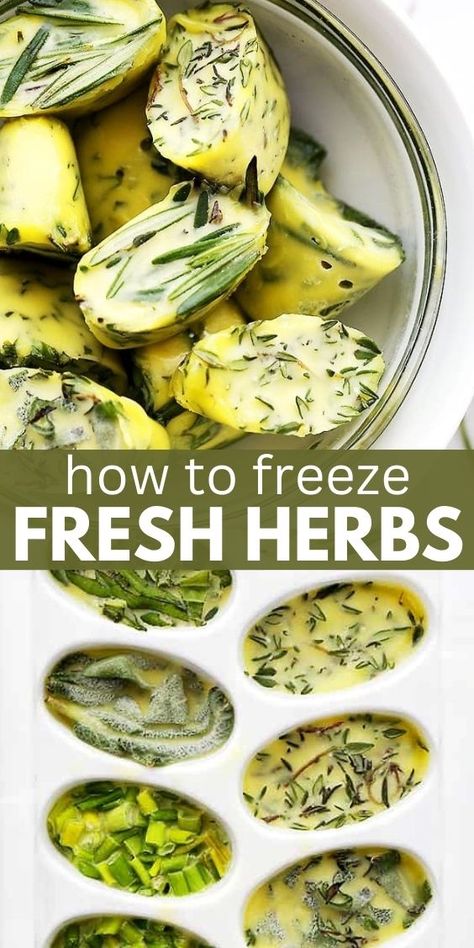 Freezing fresh herbs in olive oil is the perfect way to preserve herbs. Taking advantage of fresh herbs’ abundance during peak seasons by freezing them sets you up for flavorful creations in the future! Storing Fresh Herbs Freezers, Freezing Herbs In Butter, How To Freeze Fresh Herbs, Can You Freeze Fresh Parsley, Freeze Fresh Herbs, Preserve Herbs, Pasta Soups, Freezing Fresh Herbs, Store Fresh Herbs