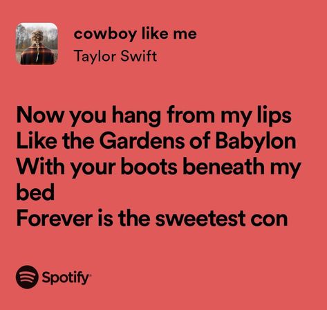 Cowboy Like Me Lyrics, Taylor Swift Now, Cowboy Like Me, Tour Aesthetic, Relatable Lyrics, Me Lyrics, Fav Song, Taylor Lyrics, Swift Lyrics