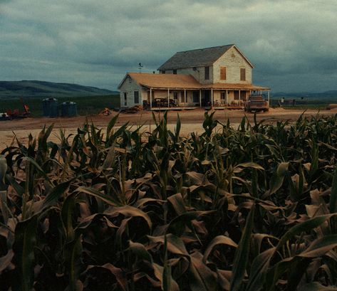 Interstellar House, Christopher Nolan Aesthetic, Interstellar Cornfield, Murph Interstellar, Nolan Aesthetic, Interstellar Aesthetic, Inter Stellar, Christopher Nolan Movies, Beyond Skyline