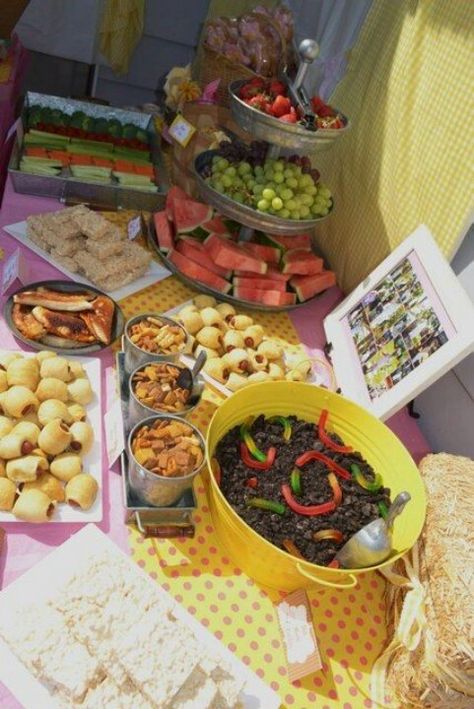 Foof ideas Farm Bday Party Food Ideas, Food For Farm Themed Birthday Party, Snacks For Farm Theme Party, Farm Birthday Snack Ideas, Farm First Birthday Food Ideas, On The Farm Birthday Party, Farm Party Foods, Farm Birthday Party Ideas, Farm Themed Party