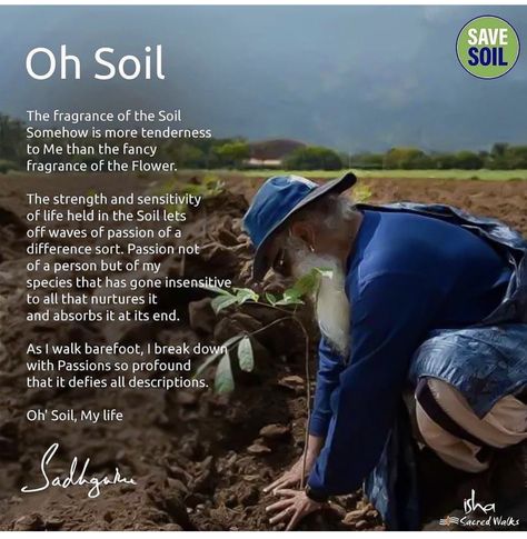 Save Soil, Poetry Day, Green Environment, Bts Face, Soil, Hold On, Poetry, Let It Be, Photo And Video