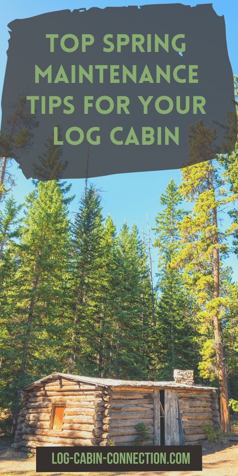 Log Cabin Maintenance, Cleaning Outside Windows, Log Cabin Flooring, Cabin Makeover, Gutter Cleaning Tool, Log Homes Exterior, Termite Damage, Log Cabin Interior, Log Home Interiors