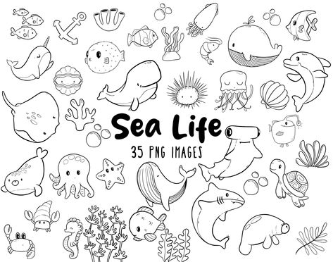 Discover the fun world of underwater clipart for kids! My set contains cute animals like - puffer fish, shark, dolphin, whale, crab, fish, narwhal, manatee, starfish, jellyfish, turtle and algae - that will delight your children. These clipart are perfect for crafts, school projects, and even for printing as posters or stickers. They are easy to use and offer endless possibilities for creative ideas. Get my underwater clipart set now and let your children immerse themselves in the fascinating wo Underwater Animals Drawing Easy, Underwater Easy Drawing, Easy Sea Animal Drawings, Cute Sea Creatures Drawing, Sea Animal Doodles, Sea Animals Drawing Easy, Ocean Creatures Drawings, Seattle Murals, Under The Sea Drawing