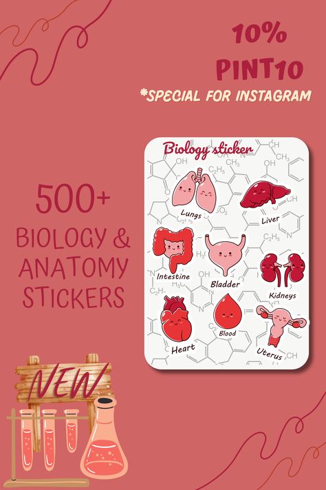 Biology Stickers Goodnotes, Anatomy Stickers Printable, Anatomy Stickers Goodnotes Free, Notes Biology Aesthetic, Biology Stickers Printable, Aesthetic Anatomy, Biology Stickers, Stickers Science, Notes Biology