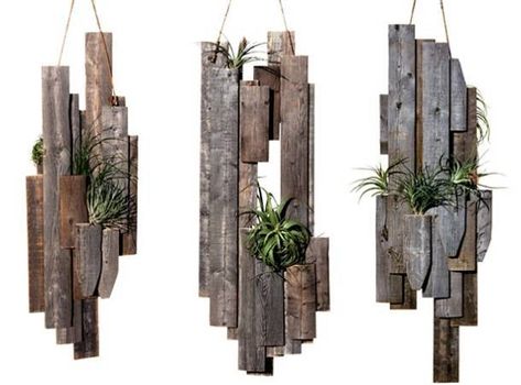 recycling ideas for modern wall decoration Air Plants Diy, Airplant Wall, Plant Display Ideas, Diy Succulent Terrarium, Air Plant Display, Hanging Succulents, Wood Scraps, Recycling Ideas, Deco Originale