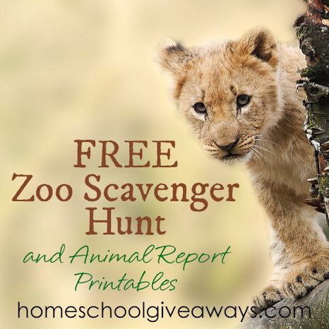 zooscavengerhunt Zoo Scavenger Hunt Printable, Zoo Scavenger Hunt, Free Land, Zoo Trip, Zoo Activities, Animal Report, Scavenger Hunt Printable, Horse Lessons, Science Textbook