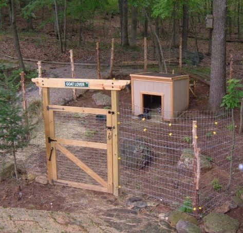 little extra for making the gate. The woven fence was the most expensive part of the project, costing about $180 for the roll.  Goats like to rub against things to scratch their bodies, and the woven fencing eliminates the sharp welds that could potentially injure the animals.    The entrance to our goat pen | Source Create a Solid Entrance to House Your Animals Every pen needs a gate and since the gate faces into our backyard, we took a couple of extra steps to create an attractive entrance way Goats Pen, Diy Goat Pen, Pygmy Goat Pen, Pygmy Goat Care, Goat Fence, Pygmy Goats, Goat Shed, Livestock Shelter, Goat Shelter