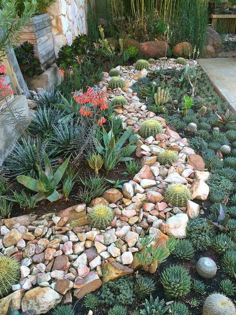 Agricultural Anarchy, Garden Entrances, Xeriscape Landscaping, Succulent Garden Landscape, Succulent Landscape Design, Waterwise Garden, Succulent Garden Design, Succulent Landscaping, Rock Garden Design