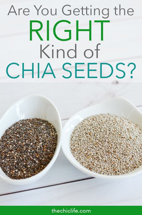 Are you getting the right kind of chia seeds? White, black, brown - which color is best and which color should you avoid. Is one more nutritious? Do they taste different? Click to learn more #health #healthandwellness #wellness #healthtips #naturalhealth #healthfacts Chia Seed Dressing, Scd Snacks, Stovetop Oatmeal, White Chia Seeds, Benefits Of Chia Seeds, Seed Cycling, Chia Benefits, Healthy Foods To Make, Seeds Benefits