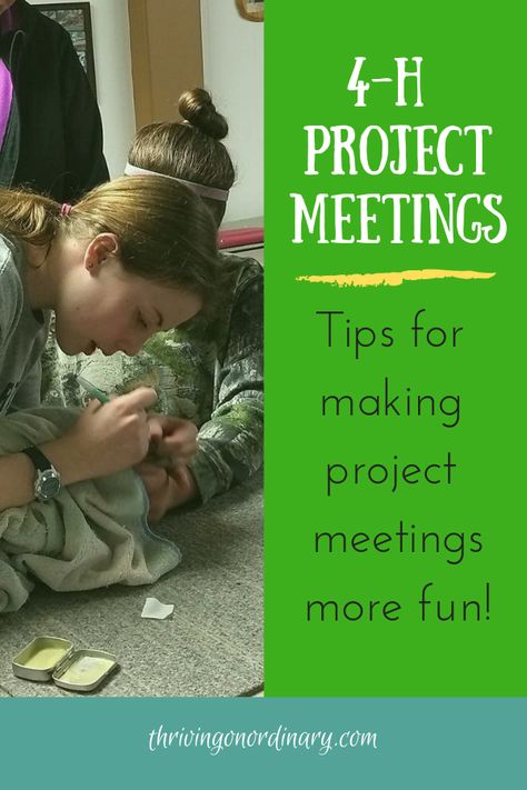 Games For 4h Meetings, 4h Group Activities, 4h Games Activities, 4h Leader Ideas, 4h Lessons Ideas, 4h Meeting Activities Fun, 4 H Presentation Ideas Fun, 4h Group Project Ideas, 4h Presentation Ideas Kids