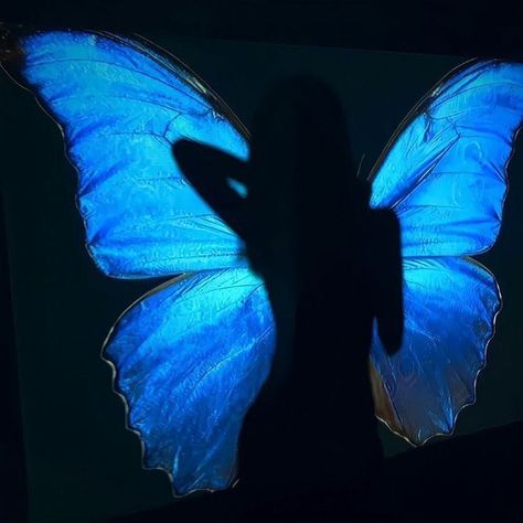 Spotify Artist, 사진 촬영 포즈, Blue Fairy, Instagram Photo Inspiration, Aesthetic Images, Profile Photo, Blue Butterfly, Blue Aesthetic, Dark Art