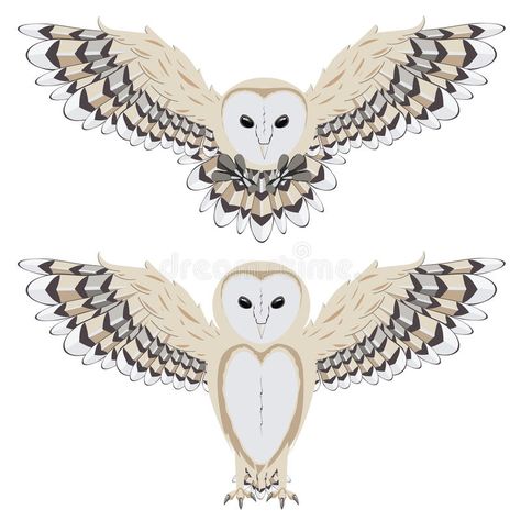 White Owl Illustration, Flying Owl Illustration, Owl Wings Drawing, Yaelokre Oc, Barn Owl Drawing, Embroidered Sweaters, Harry Potter Theme Birthday, Owl Clipart, Happy Owl