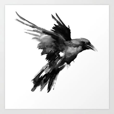 Black And White Raven, Lover Black And White, Flying Raven, Raven Decor, Crow Tattoo Design, Vogel Tattoo, Flying Tattoo, White Raven, Crow Tattoo