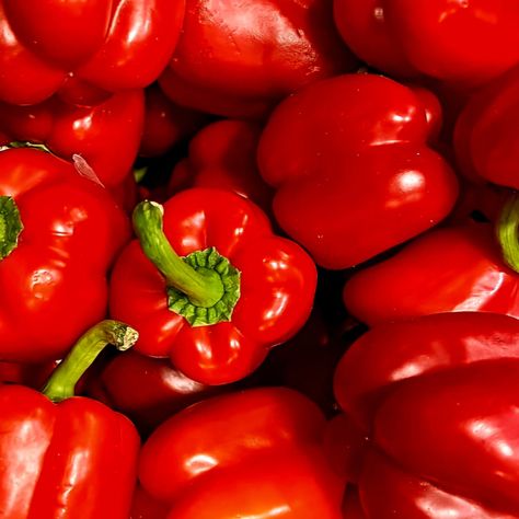 These versatile peppers are perfect for adding a pop of colour and crunch to your salads, stir-fries, and roasted dishes. Experiment with stuffing them for a delightful main course or simply enjoy them raw as a crunchy snack. Packed with vitamins A and C, and rich in antioxidants, our Red Peppers are as nutritious as they are delicious. For optimum freshness, store in a cool place and consume within a week of purchase. Let our Red Peppers bring a rainbow of taste and texture to your culinary cre Almond Daughter, Alevel Art, Backyard Birthday, Oc Stuff, Crunchy Snack, Pepper Plants, Single Origin, Farm Shop, Gcse Art