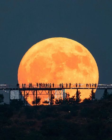 Super blue moon photographed around the world 🌕 #supermoon Super Moon, Blue Moon, Around The World, Around The Worlds, Moon, Photographer, The World, Blue, Quick Saves