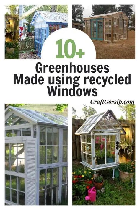 Greenhouse Using Old Windows, Repurposed Window Greenhouse, Greenhouse Made Of Windows, Greenhouse From Old Windows, Make A Greenhouse, Old Window Greenhouse, Homemade Greenhouse, Greenhouse Window, Recycled Windows