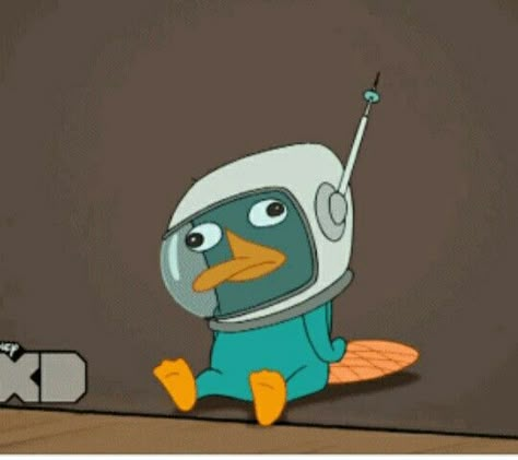 Perry The Platypus Pfp, Perry The Platypus Icon, Perry The Platypus Aesthetic, Phineas E Ferb, Phineas Y Ferb, Perry The Platypus, Network Icon, Artist Humor, Ra Ideas