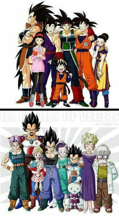 Goku Family, Vegeta Family, Goten Y Trunks, Dragon Ball Universe, Dragon Ball Super Wallpapers, Dragon Ball Art Goku, Dragon Ball Super Artwork, Dragon Ball Super Art, Dbz Art