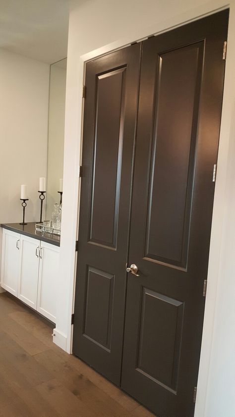 Dark grey painted interior doors Dark Gray Doors Interior, Gray Doors Interior, Gray Doors, Grey Interior Doors, Painted Interior Doors, Grey Doors, House Remodel, Paint Palette, Entrance Doors