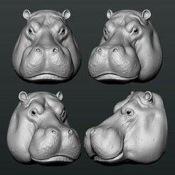 Hippo Head Animal Tips, Zbrush Models, Head Anatomy, Stl File Format, Animal Drawing, Baby Clip Art, 3d Modelle, Winston Churchill, Character Sketch