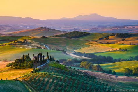 Belvedere in San quirico d’orcia, Tuscany. Tuscany Landscape, Tuscan Landscaping, Italy Landscape, Watercolour Landscape, Under The Tuscan Sun, Fine Art Landscape Photography, Italian Landscape, Wall Pictures, Landscape Scenery