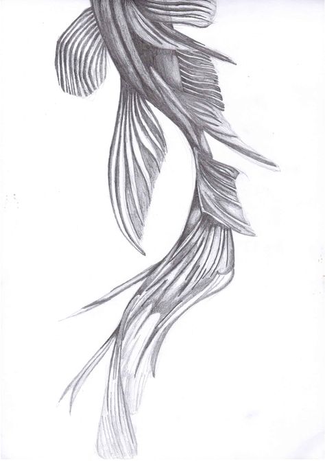 Fish Tail Drawing Fish Drawing From Above, Fish Tail Illustration, Fish Tail Drawing, Fish Tail Tattoo, Sea Illustration Art, Fish Tails, Tail Drawing, Life Drawings, Sea Illustration