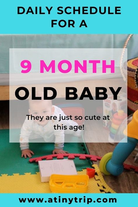 9 Month Old Activities, 9 Month Old Schedule, 6 Month Baby Activities, Six Month Old Baby, Bedtime Routine Baby, Daily Rhythm, 2 Month Old Baby, 5 Month Old Baby, 2 Month Baby