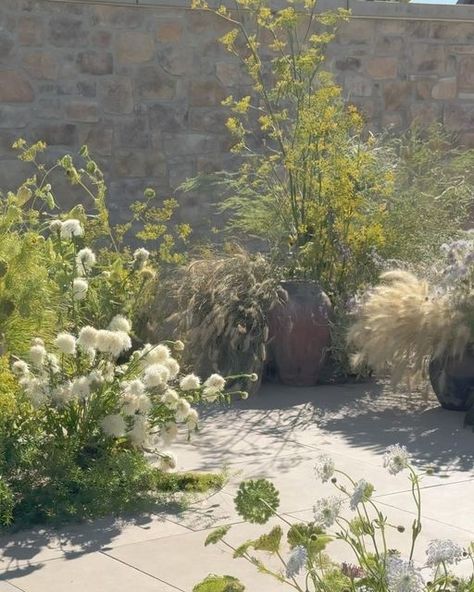 Found Floral on Instagram: "A secret garden of hidden treasures, for Michelle & Stanley. Such an incredible journey creating for these two.   @sophia.goff  @photosantucci  @meeshelpang  @theonicollection  @stanlyranchauberge   Thank you to my team that made magic! @danijrdn @califloracation @nosegay_sf @lelaquiros @uvnad @nununectar @ghost_sapling" Sophia Goff, A Secret Garden, My Team, Hidden Treasures, Secret Garden, Instagram A, Wedding Inspiration, Ghost, Thank You