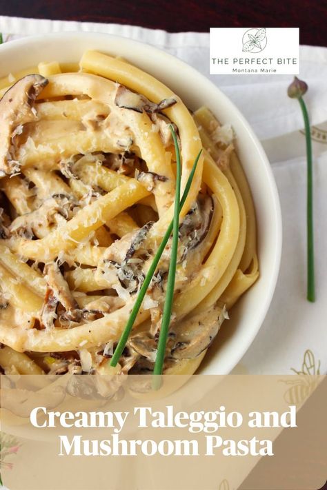 overhead view of a white bowl of swirled pasta topped with extra mushrooms and shaved cheese Smoked Salmon Bites, Italian Picnic, Zucchini Pasta Salad, Taleggio Cheese, Meal Rotation, Salmon Bites, Cheese Sauce For Pasta, Soft Bread, Zucchini Pasta