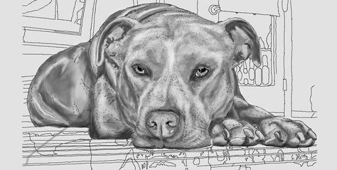 drawing pit bulls | Pit Bull Resting Head on Paws Grayscaled by DragonFyreStudio Drawings Of Pitbulls, Pit Bull Drawing, Head Drawings, Pitbull Drawing, Dog Line Drawing, Pitbull Art, Animal Caricature, Painted Glass Bottles, Portrait Sketches