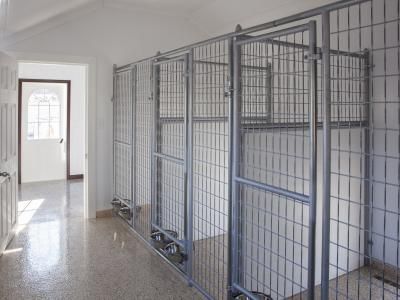 Dog Kennels Interior Kennel Plans, Portable Dog Kennels, Feed Room, Custom Dog Kennel, Metal Dog Kennel, Boarding Kennels, Dog Boarding Facility, Dog Boarding Kennels, Boarding Facility