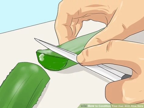 3 Ways to Condition Your Hair With Aloe Vera - wikiHow Aloe Vera For Hair Growth, Aloe For Hair, Baking Soda For Hair, Relationship Quizzes, Baking Soda Benefits, Fresh Aloe Vera, Baking Soda Shampoo, Hair Rinse, Hair Care Products