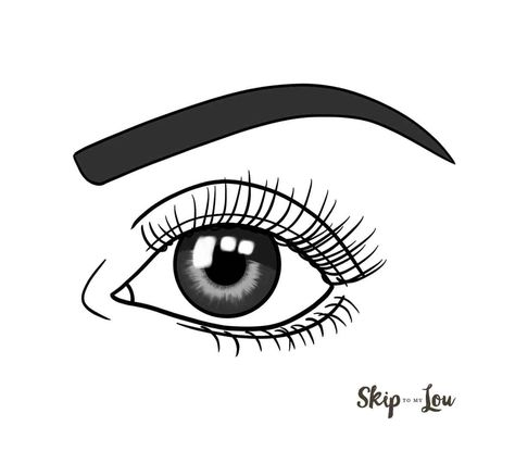 How to Draw Eyes Human Eye Drawing, Eye Outline, Easy Eye Drawing, How To Draw Eyes, Tree Drawings Pencil, Skip To My Lou, Draw Eyes, Drawing Tutorials For Beginners, Art Sketches Doodles