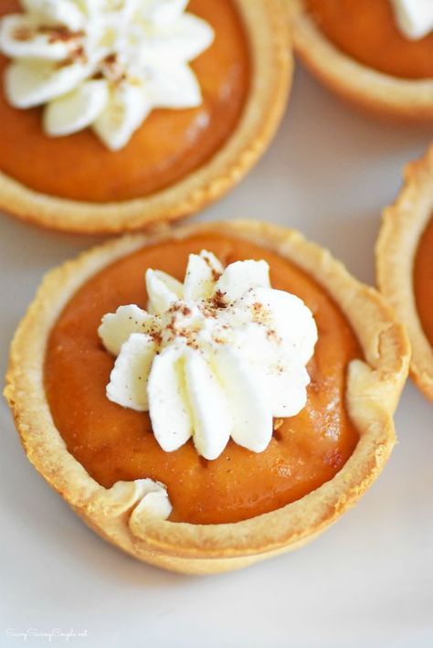 Mini Pumpkin Pies Made in a Muffin Tin. so easy to eat, and perfect for kids! Small Pies, Pie Pumpkins, Gingerbread Cheesecake, Pumpkin Tarts, Dessert Snacks, Paleo Snack, Thanksgiving Favors, Pie Pops, Mini Pumpkin Pies