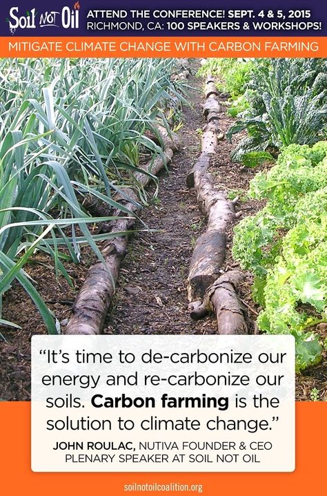 soilnotoilposter Carbon Farming, Allotment Planning, Biodynamic Farming, Green Future, Survival Garden, Regenerative Farming, Organic Agriculture, Regenerative Agriculture, Carbon Sequestration