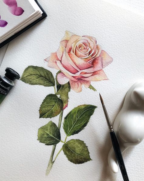 Flower Painting Realistic, Rose Painting Watercolor, Flower Guitar, Rose Watercolour, Colored Pencil Artwork Ideas, Rose Artwork, Teaching Watercolor, Arte Aesthetic, Realistic Watercolor