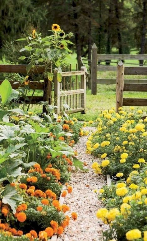 Potager Garden, Farmhouse Garden, Have Inspiration, Beautiful Flowers Garden, Front Yard Garden, Gardening Supplies, Veggie Garden, Garden Cottage, Garden Gates