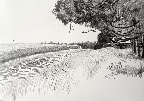 Field and cypresses, 29.7x21 cm, pencil on paper, 2016 | Flickr Maria Zaikina, Scale Drawing, Observational Drawing, Landscape Sketch, Artist Sketchbook, Plant Drawing, Sketchbook Ideas, Pencil On Paper, Daily Drawing