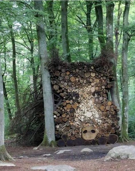 What Do You See, Land Art, Diy Wood Projects, Art Forms, Woodworking Plans, Transformers, Beautiful Pictures, Street Art, Oeuvre D'art