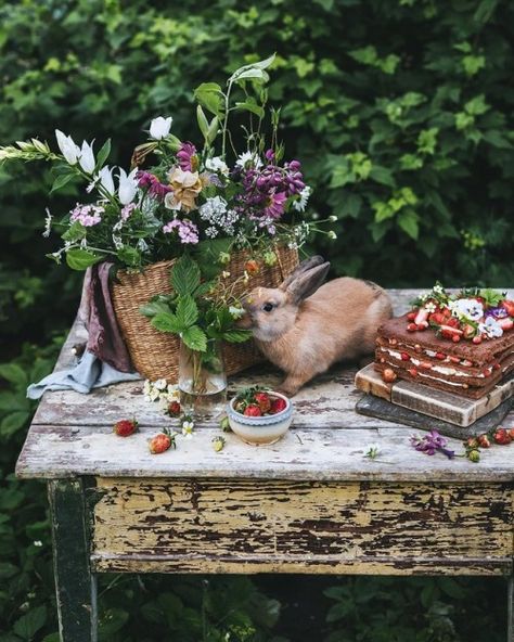 Bunny Noms Woodland Aesthetic, Picnic Inspiration, Coffee Room, Cottage Farm, Garden Whimsy, Woodland Party, Spring Aesthetic, Spring Sign, Beautiful Photography