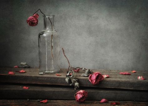 ... | Nataly С | Flickr Broken Rose, Fairy Garden Pots, Surealism Art, Drying Roses, Glass Photography, Galaxy Pictures, Roses Drawing, Skull Artwork, Beautiful Flower Arrangements