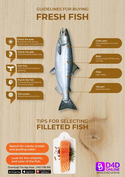 Tips to select fresh Fish for cooking. Fish Infographic, Smoked Seafood, Seafood Store, Fish Store, Fish Fin, Happy Independence Day Images, Frozen Salmon, Food Promotion, Independence Day Images