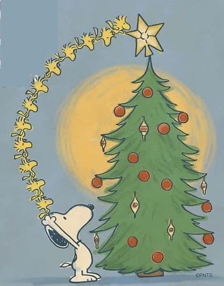 Charlie Brown Christmas Aesthetic, Charlie Brown Winter, Winter Snoopy, Christmas Tree Cartoon, Vintage Charlie Brown, Brown Christmas Tree, Peanuts Wallpaper, A Charlie Brown Christmas, Christmas Snoopy