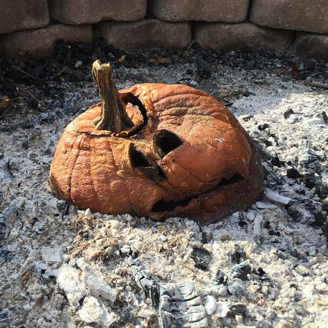 Jack O Lanterns Aesthetic, Rotting Jack O Lantern, Jack O Lantern Volcano, Smashed Pumpkin, History Of Jack O Lanterns, Jack O Lantern History, Lantern Aesthetic, Tag Urself, Pumpkin Paintings